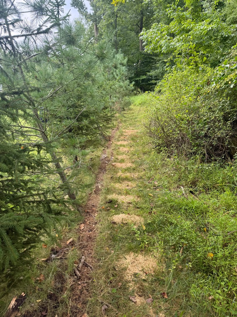 Cleared land after tree removal by Nice View Landscaping