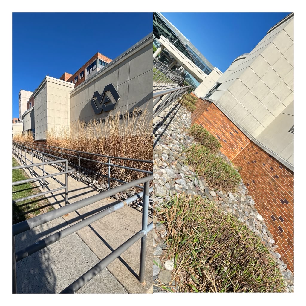 Commercial property landscaping before and after