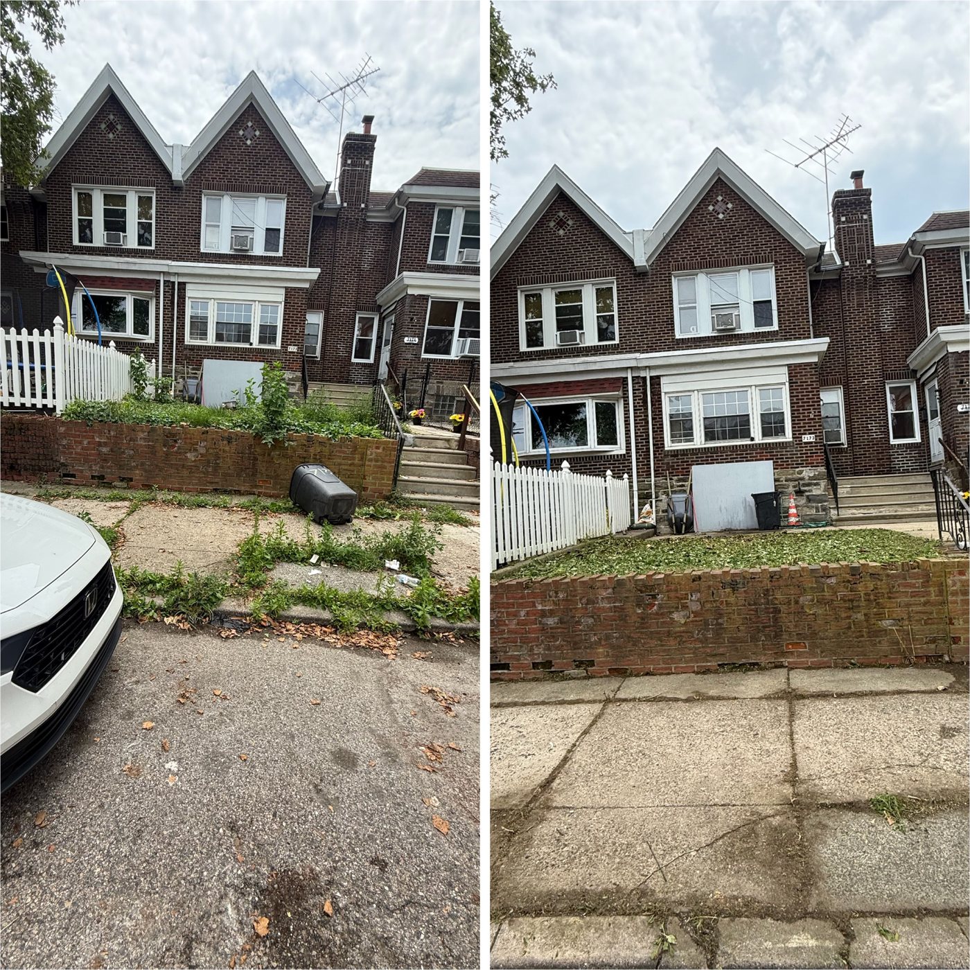 Residential front yard cleanup before and after