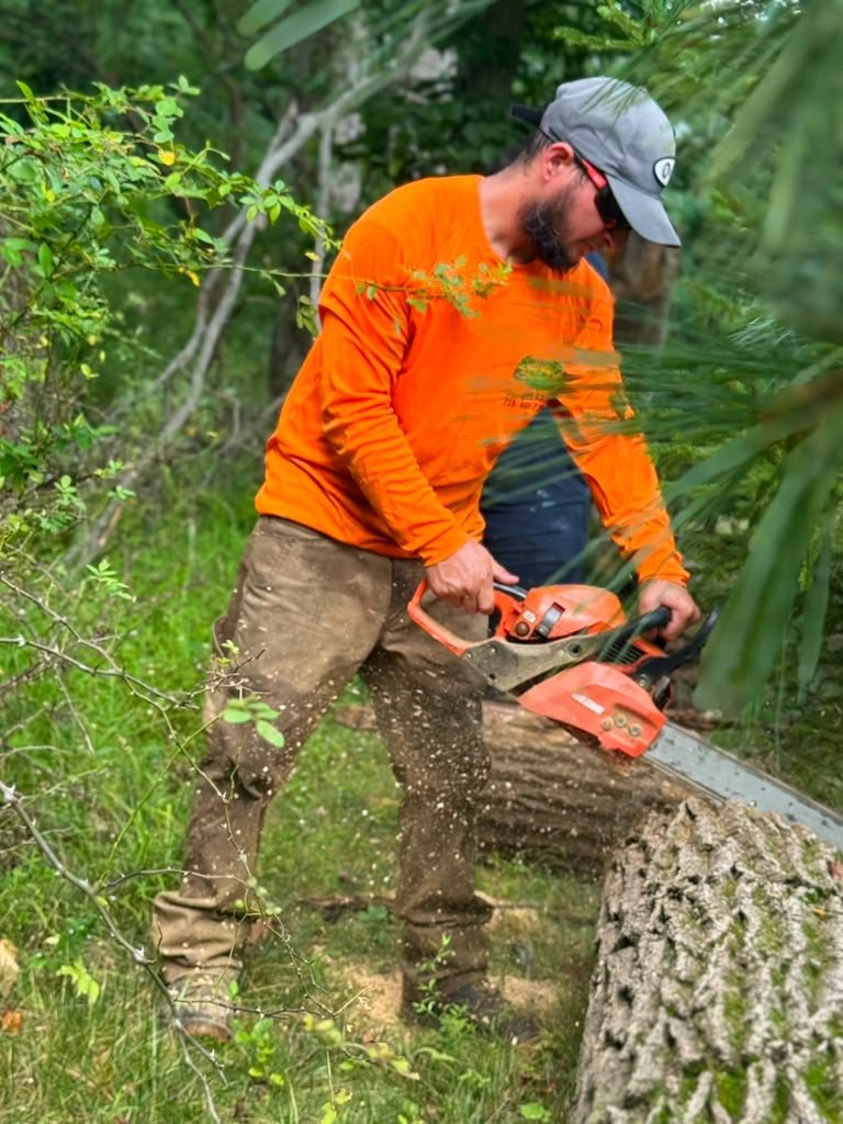 Nice View Landscaping crew member removing a tree